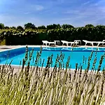 Pansion Margerita