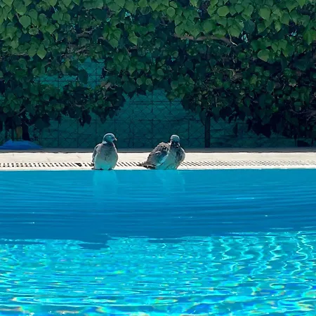 Pansion Margerita Bed & Breakfast Porec