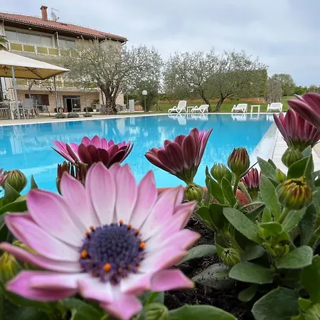 Bed & Breakfast Pansion Margerita Porec