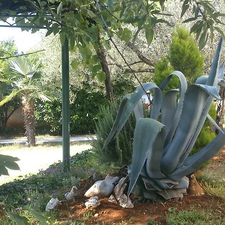 Bed & Breakfast Pansion Margerita Porec