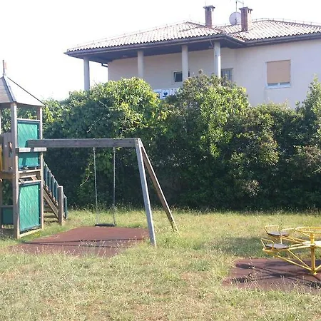 Pansion Margerita