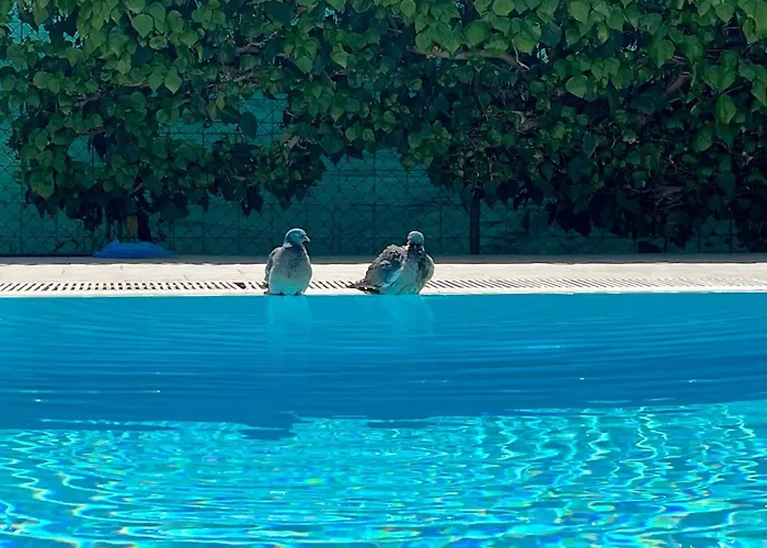 Pansion Margerita Bed & Breakfast Poreč