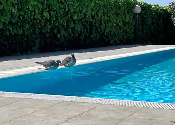 Pansion Margerita 포레치