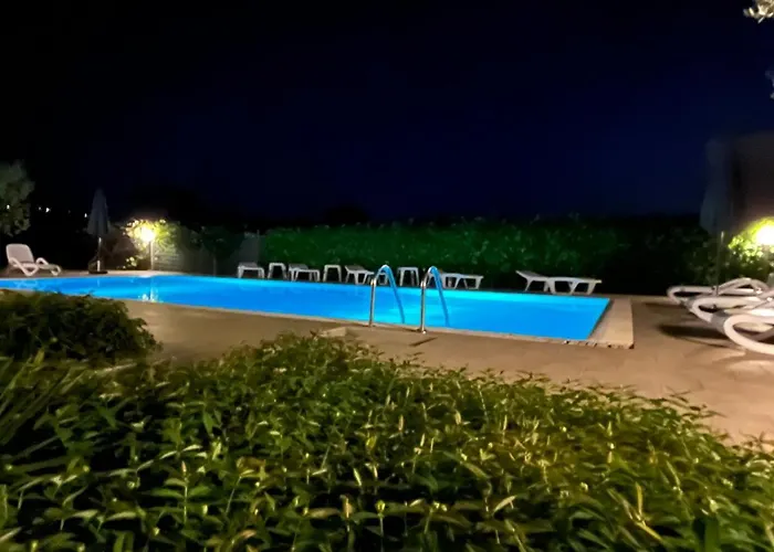 Pansion Margerita